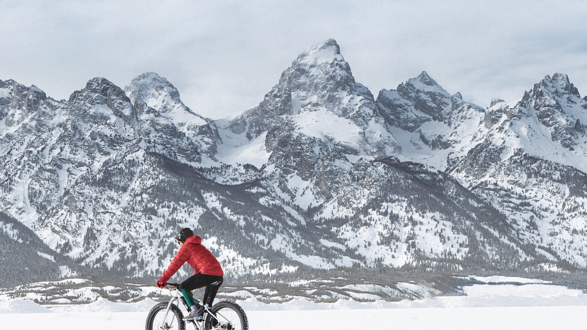 Visit Jackson Hole - Jackson Hole Wyoming Visitor Information